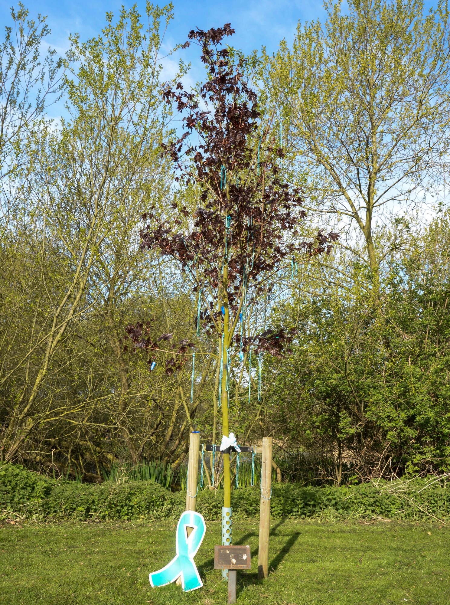 A tree is decorated for Sexual Assault Awareness Month at the duck pond on Royal Air Force Lakenheath, England, April 17, 2014. Sexual Assault Awareness Month is held during the month of April to raise awareness of sexual assault and inform victims where to get help if needed. (U.S. Air Force photo by Airman 1st Class Nigel Sandridge/Released)