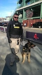 Sgt. Ryan Castonguay and Military Working Dog Dino are an explosives team
from the 928th MWD based in Newtown, Conn. They were assisting at the Boston
Marathon April 21, 2014.


