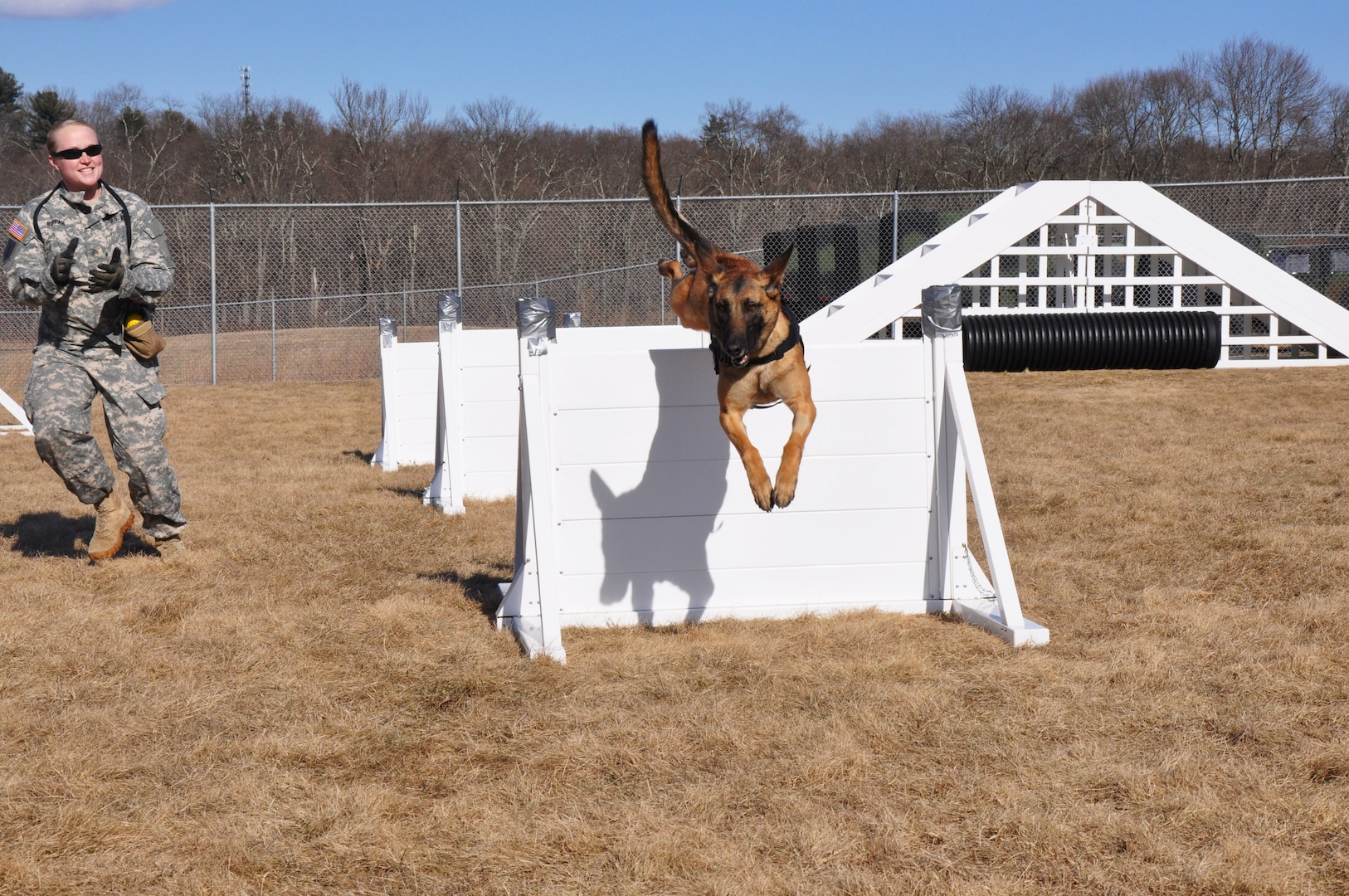 Dog teams at Connecticut National Guard's 928th Military Working Dog Detachment train at a minimum of four hours on patrol and obedience each week. The 928th from Newtown, Conn., is a full-time unit manned 24 hours a day, seven days a week and is the only military working dog unit in the United States that is part of the Army Guard/Reserve component.

