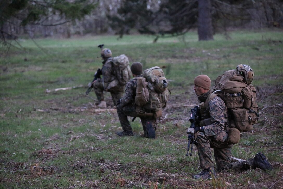 Marines from Bravo Company, 1st Reconnaissance Battalion, pause along a tree line to survey an open area of forest they must cross. The company conducted a 10-day training exercise aboard Fort Lewis-McChord, Wash., earlier this month.