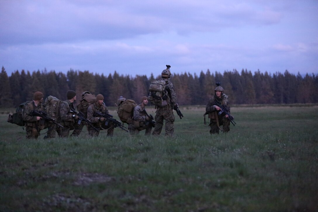 Marines from Bravo Company, 1st Reconnaissance Battalion, pause along a tree line to survey an open area of forest they must cross. The company conducted a 10-day training exercise aboard Fort Lewis-McChord, Wash., earlier this month.