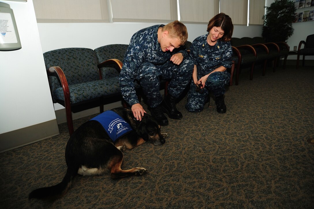 Airman apprentice Alexander Bender spends time with the mental Health guide dog Commander Joe and his Handler, Lt. Cmdr. Tracey Krauss, April 22, 2014, at the Joint Base Andrews, Md. Naval Branch Health Clinic during Joe’s break from seeking out stress.  Joe, trained by South Eastern Guide Dogs as a medical facility dog, takes on the mission of identifying a prevalent condition -- severe stress.  Krauss is the NBHC manager and Bender works with the Fleet Readiness Center Mid-Atlantic, here, as an aviation support equipment technician. (U.S. Air Force photo/ Amber J. Russell)