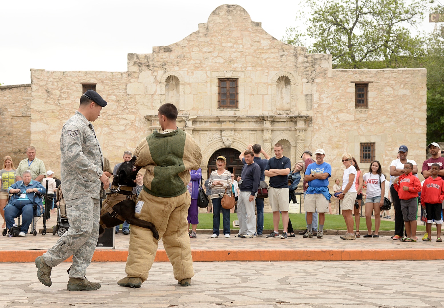 Air Force Military Working Dogs and their handlers demonstrate the unique capabilities and vital mission of military working dogs April 21 during the San Antonio Fiesta 2014’s Air Force Day at the Alamo. (U.S. Air Force photo by Ben Faske)