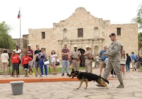 Staff Sgt. Johnathan Royce, 902nd Security Forces Squadron military working dog handler, and his military working dog demonstrates obedience, detection and patrol skills April 21 in tribute to San Antonio Fiesta 2014’s Air Force Day at the Alamo. Air Force Day at the Alamo is one of dozens of Fiesta’s annual events held in celebration of the spirit, diversity and vitality of San Antonio. (U.S. Air Force photo by Ben Faske)