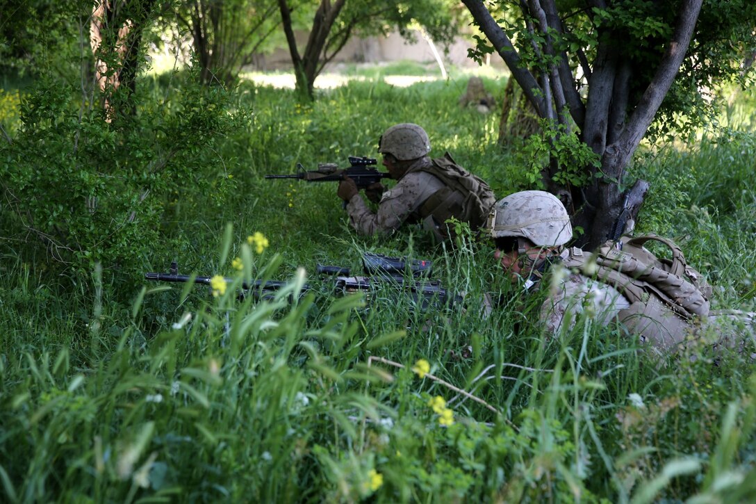 Marines with Weapons Company, 1st Battalion, 7th Marine Regiment, provide security from concealed positions during a mission in Helmand province, Afghanistan, April 17. The company's two-day mission was to disrupt lethal enemy aid and to search three compounds of interest in an area suspected of Taliban influence. The compounds were suspected to contain a homemade-explosive lab, a cache for narcotics and be home to local Taliban leadership.