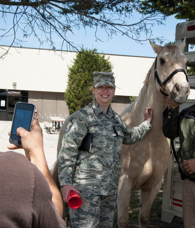 Master Sgt. Brandy Shamrock, 576th Flight Test Squadron material section chief, takes a photo with a 30th Security Forces Squadron military working horse during the 14th Annual Earth Day celebration April 23, 2014, Vandenberg Air Force Base, Calif. The 30th Civil Engineer Squadron hosted the event that showcased Vandenberg and the surrounding communities’ efforts to be “green.” (U.S. Air Force photo/ Airman 1st Class Yvonne Morales)