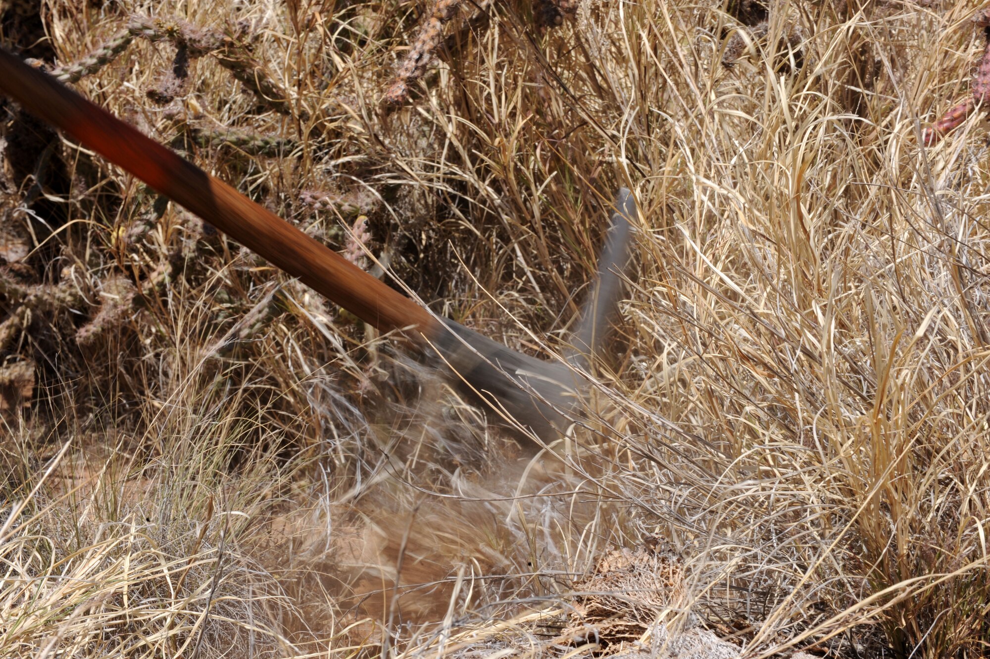Chris Kartcher, Arizona Conservation Corps crew member, cuts away the buffelgrass near Davis-Monthan Air Force Base, Ariz., April 23, 2014. The buffelgrass was intended to be used as forage food for cattle and other livestock, but has expanded across the Sonoran Desert causing potential fire hazards. (U.S. Air Force photo by Airman 1st Class Cheyenne Morigeau/ Released)