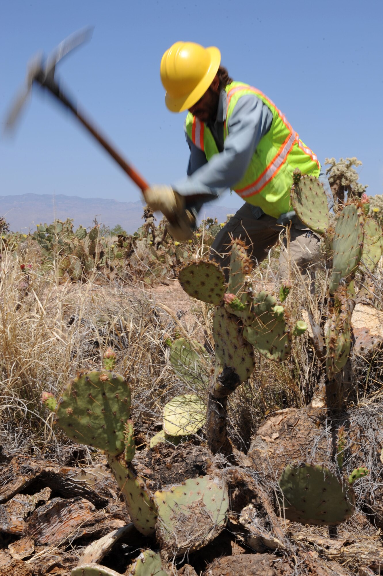 Chris Kartcher, Arizona Conservation Corps crew supervisor, uses a pickaxe to remove the buffelgrass behind the horse stables at Davis-Monthan Air Force Base, Ariz., April 23, 2014. AZCC was contracted through the Arizona Game and Fish Department to remove the buffelgrass in and around the property of D-M. (U.S. Air Force photo by Airman 1st Class Cheyenne Morigeau/ Released)