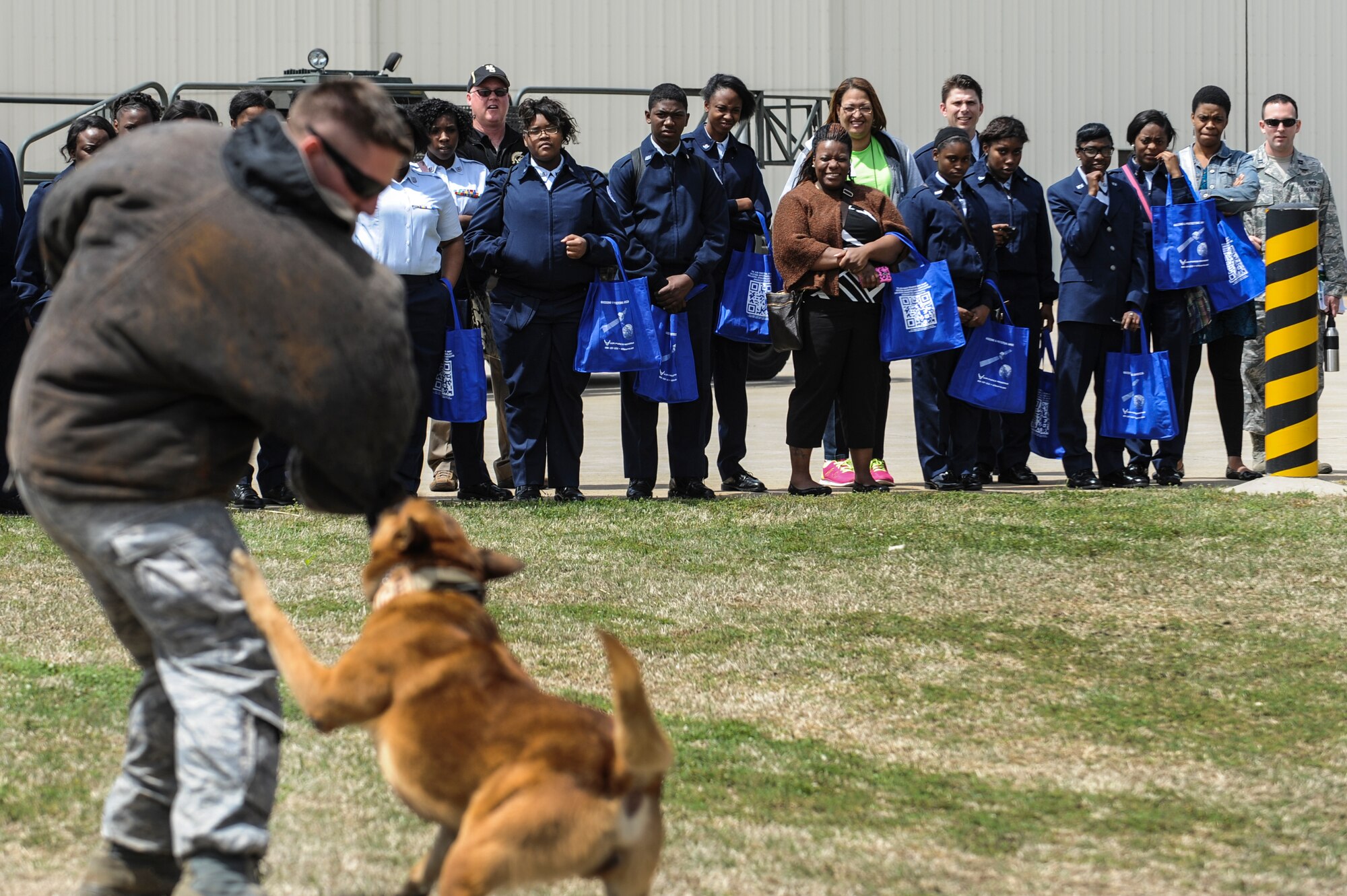 A military working dog from the 19th Security Forces Squadron K-9 unit demonstrates how it protects a handler when a threat is near during the Little Rock Air Force Base’s Junior Reserve Officer Training Corps Expo April 10, 2014. It takes 120 days to completely train a military working dog. (U.S. Air Force photo by Airman 1st Class Cliffton Dolezal)