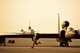 A member of the 380th Expeditionary Aircraft Maintenance Squadron assists in the removal of the temporary landing gear on a U-2 Dragon Lady April 20, 2014, at an undisclosed location in Southwest Asia. The U-2 utilizes temporary landing gear to reduce weight in flight.  (U.S. Air Force photo byTech. Sgt. Russ Scalf/Released)