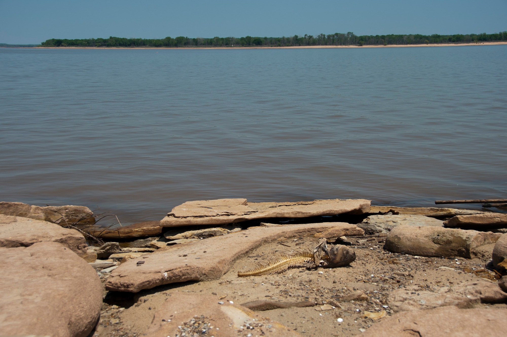 The carcass of a catfish that lies along the shoreline of Lake Texoma shows the effect that drought and litter have on wildlife. A total of 11 volunteers from Sheppard Air Force Base, Texas, made the trip to the lake, April 22, 2014 to participate in an Earth Day clean-up event aimed at ridding the beach of hazardous objects exposed by the low water levels. (U.S. Air Force photo/Airman 1st Class Robert L. McIlrath)