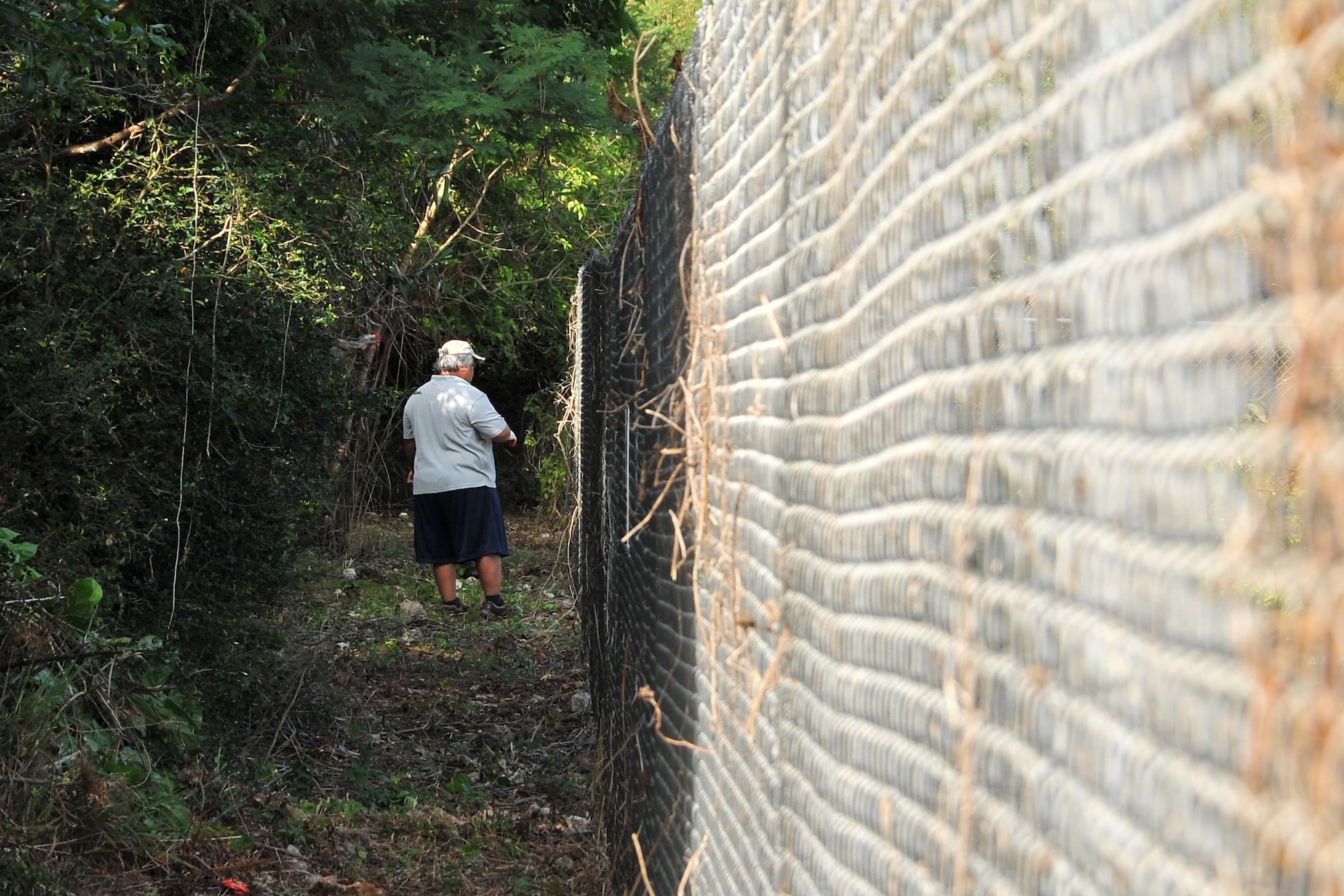 John San Agustin, 36th Civil Engineer Squadron Environmental Flight volunteer conservation officer, clears invasive plants from a fence to keep them from encroaching on a reforestation site located on the other side on Andersen Air Force Base, Guam, April 12, 2014. The 2-acre endangered species habitat site is home to 1,000 juvenile, native limestone forest trees. (U.S. Air Force photo/Staff Sgt. Melissa B. White/Released)