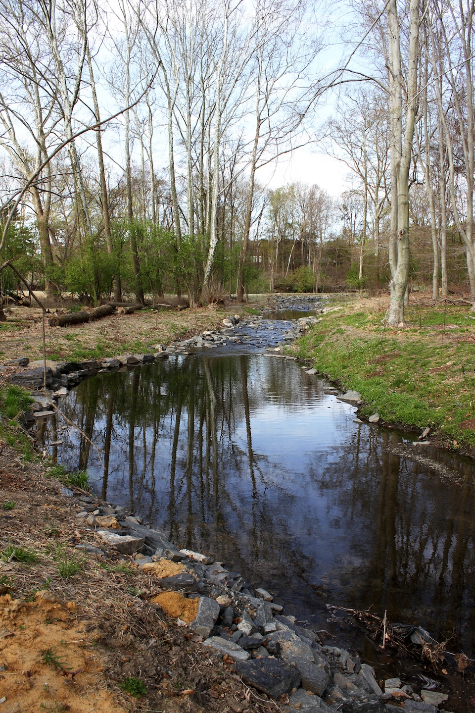 The U.S. Army Corps of Engineers' Philadelphia District and the Philadelphia Water Department celebrated the completion of the daylighting of the Indian Creek as part of the Cobbs Creek Watershed Habitat Restoration during an April 25, 2014 event at Morris Park in the Overbrook section of Philadelphia. The project reduces combined sewage overflow and improves public health, water quality, habitat, and enhances the aesthetics of the park.