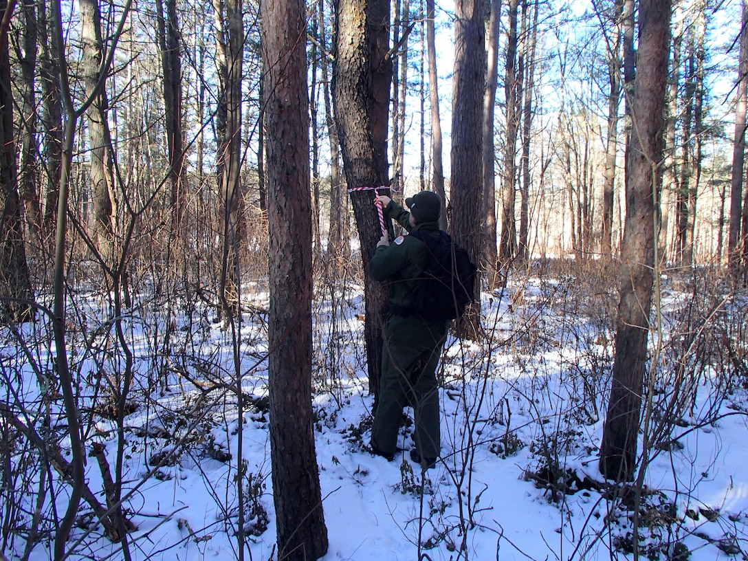 Rangers from Birch Hill Dam and Tully Lake are using GPS and flagging to mark retention trees. This work is part of the planning process involved in setting up a timber sale that will be taking place in the future.