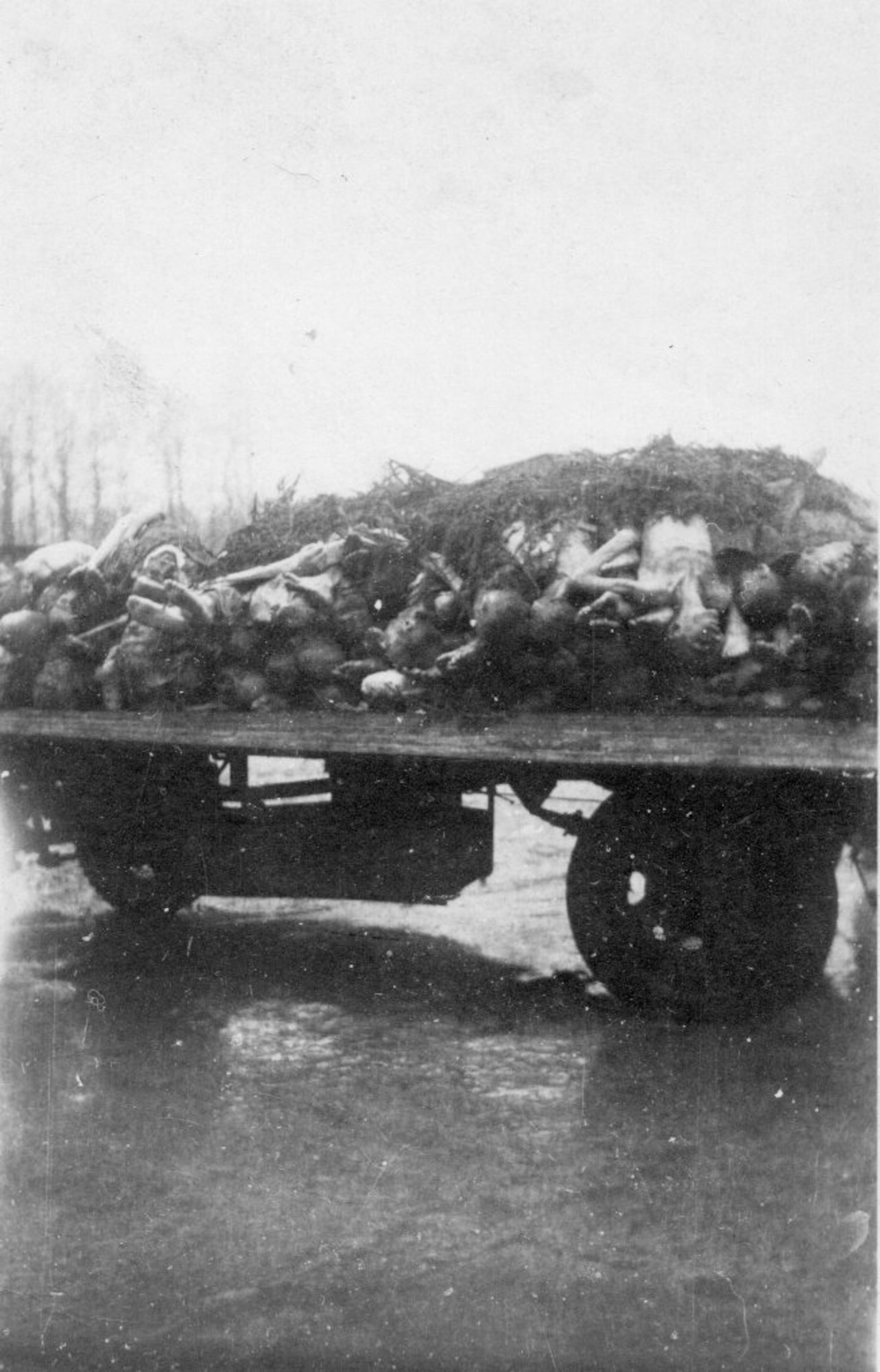 Bodies were stacked like cordwood on this cart of concentration camp victims in Germany, 1945 (Courtesy Ms. Nancy Beaumier, daughter of 371FG veteran Sgt. Tom Boliaris)