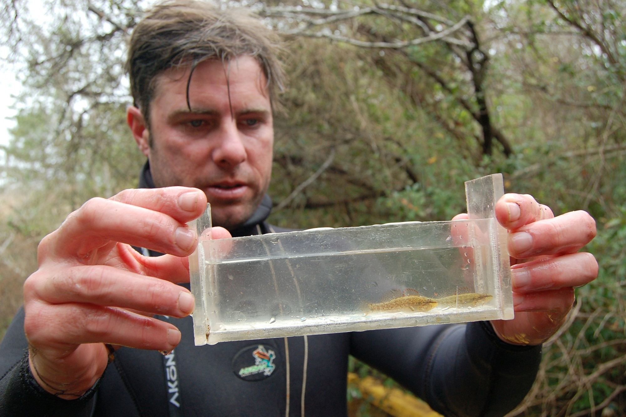 Bill Tate, a U.S. Fish and Wildlife Service biologist, inspects Okaloosa darters from Eglin's streams. The Okaloosa darter was recently re-classified by the Service as Threatened due to Eglin's efforts.
 (courtesy photo)
