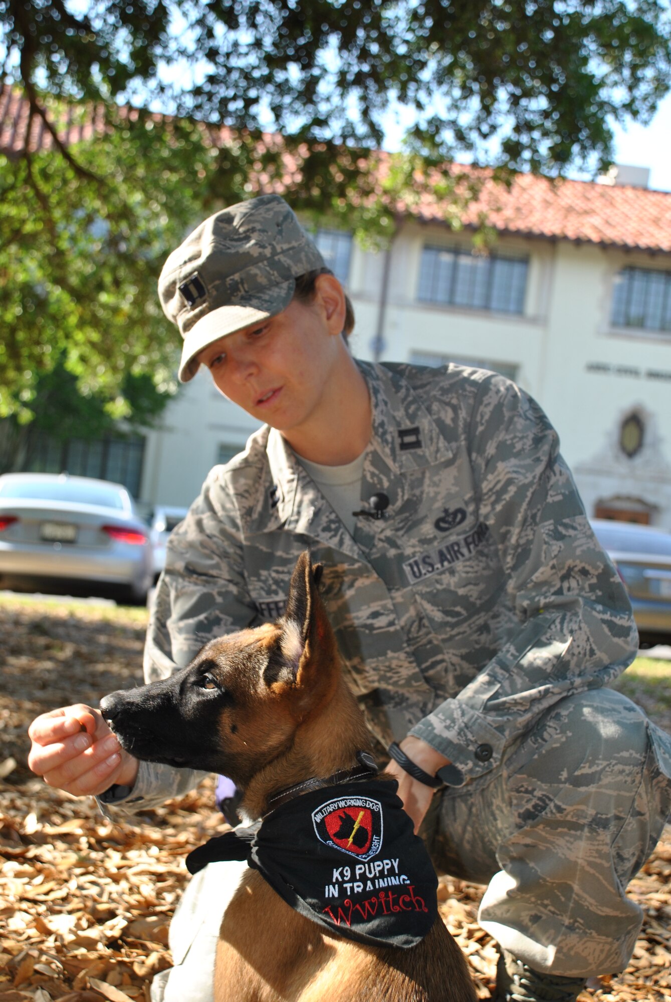JOINT BASE SAN ANTONIO-RANDOLPH, Texas – Six weeks after taking in foster puppy Wwitch, Capt. Brandy Caffee said she already plans to take on another puppy once Wwitch graduates to the next step in her military working dog training career. (U.S. Air Force photo/Breanne Smith)