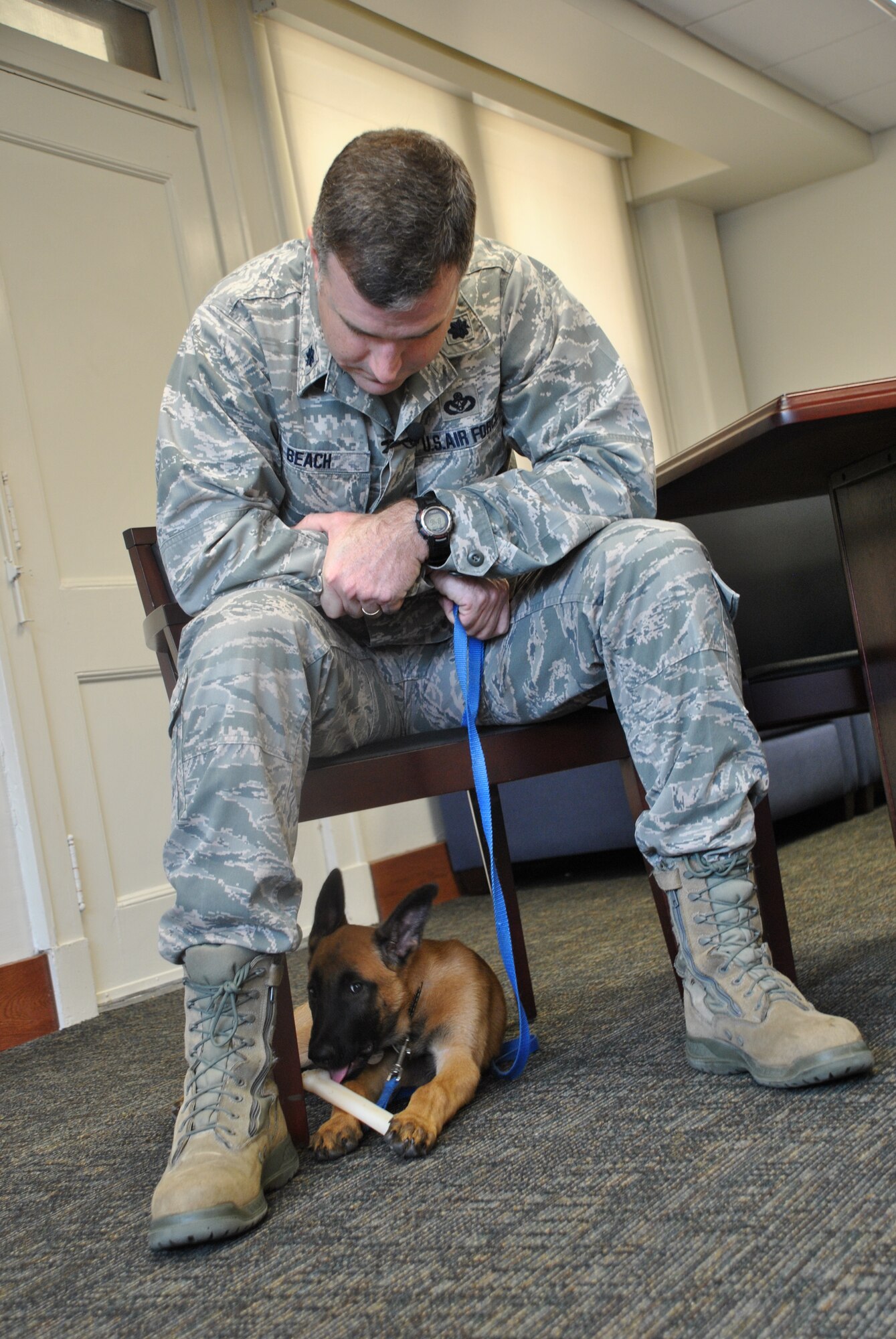 JOINT BASE SAN ANTONIO-RANDOLPH, Texas – Dos Equis, formerly named XX by the Air Force, makes himself at home under Lt. Col. Michael Beach’s chair. Beach, the Operations Division Chief at the Air Education and Training Command, began fostering the now-three-month-old Belgian Malinois when he was six weeks old. Beach will spend the next several months socializing Dos Equis, preparing him to enter the Military Working Dog Training Program.  (U.S. Air Force photo/Breanne Smith)