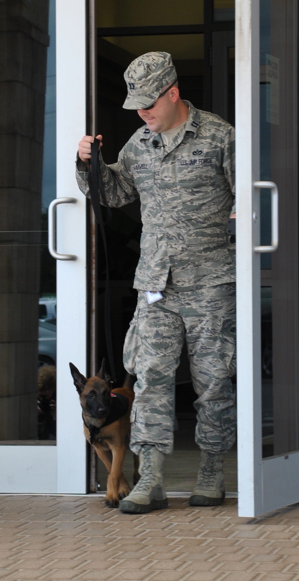 JOINT BASE SAN ANTONIO-LACKLAND, Texas – Department of Defense foster puppy Xxplorer spends most week days accompanying Capt. Grant Harwell to work at the Air Force Civil Engineer Center. Socialization is very important for working dogs to receive at a young age.  (U.S. Air Force photo/Breanne Smith)