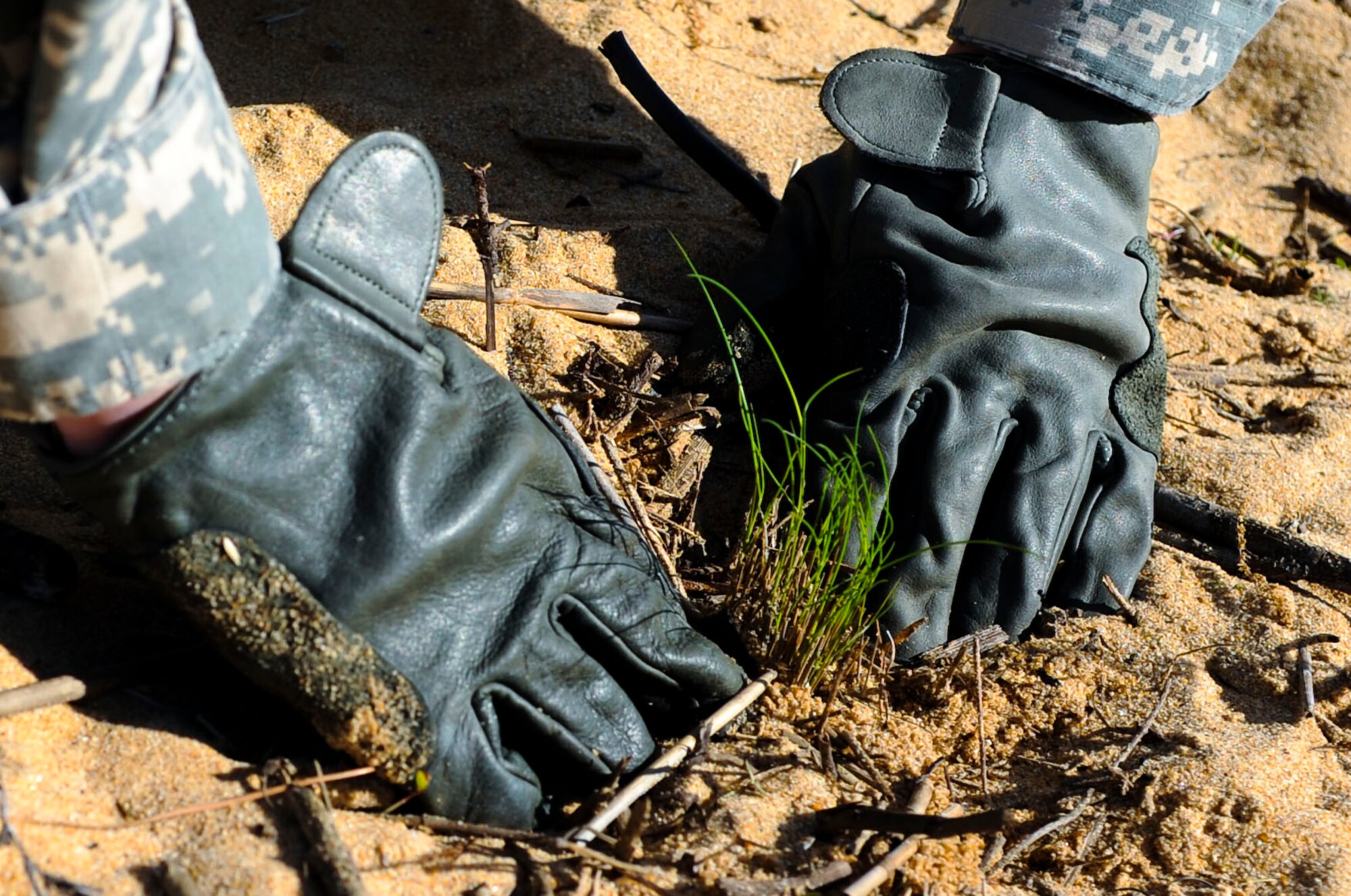 U.S. Army Private Vincent Senn, 155th Inland Cargo Transportation Company, 53rd Trans. Battalion, 7th Trans. Brigade (Expeditionary) cargo specialist, plants grass during a shoreline planting activity at Fort Eustis, Va., April 23, 2014. The marsh grass planted will prevent erosion of the Fort Eustis shoreline. (U.S. Air Force photo by Senior Airman Austin Harvill/Released) 