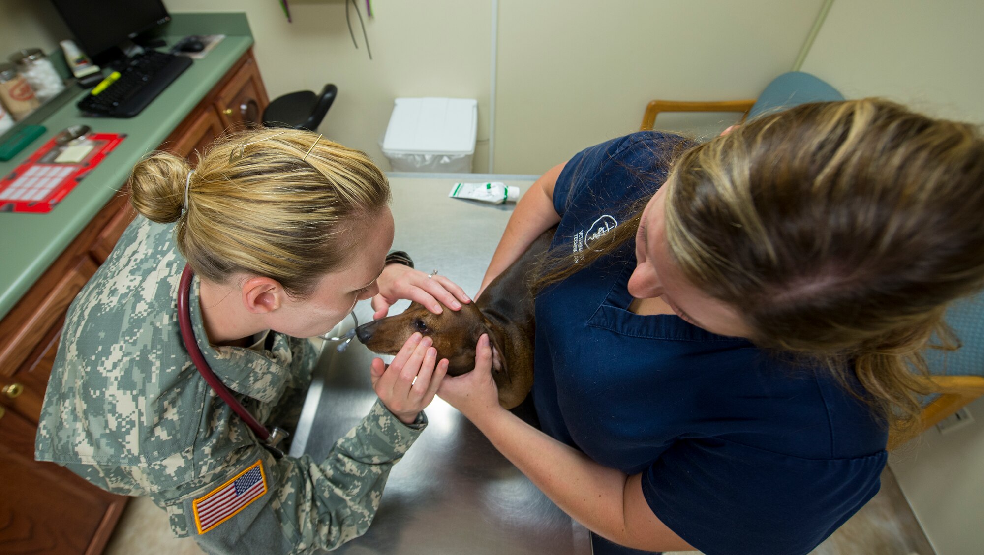 U.S. Army Capt. Allison Brekke, Army Public Health Command veterinarian, views a dog’s eyes as his owner, Lindsey Gren, Public Health Command veterinary operations assistant, holds him still at Moody Air Force Base, Ga., July 31, 2014. The Moody Veterinary Treatment Facility will resume full operations Aug. 18, 2014, after limiting its services in May. (U.S. Air Force photo by Airman 1st Class Sandra Marrero/Released)
