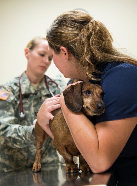 Lindsey Gren, Public Health Command veterinary operations assistant, looks on as her dog, Duke, is examined by U.S. Army Capt. Allison Brekke, Army Public Health Command veterinarian, during sick-call at Moody Air Force Base, Ga., July 31, 2014. Brekke checked his overall health in addition to treating allergies and an infection.  (U.S. Air Force photo by Airman 1st Class Sandra Marrero/Released)
