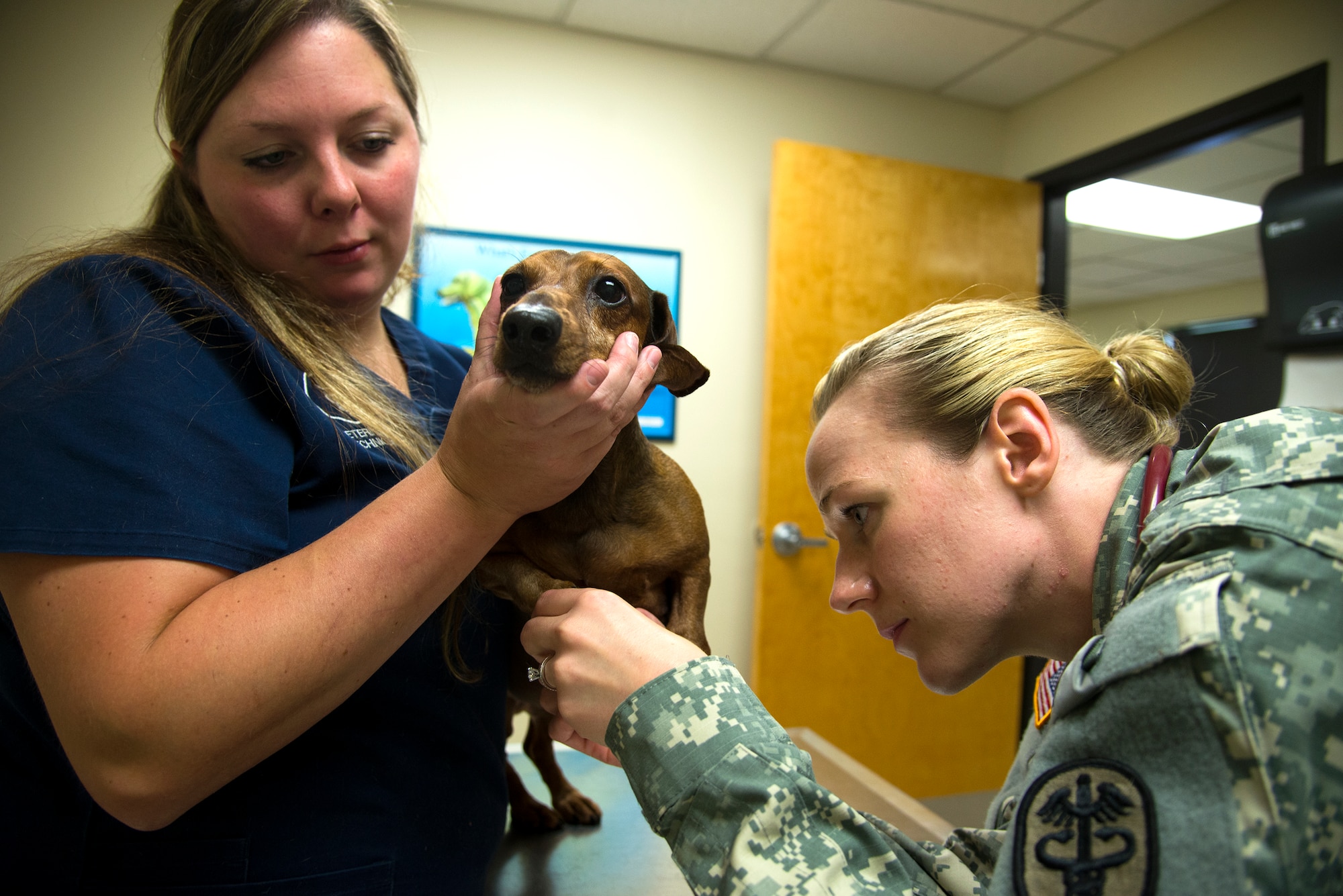 Lindsey Gren, Public Health Command veterinary operations assistant, holds her dog, Duke, as U.S. Army Capt. Allison Brekke, Army Public Health Command veterinarian, checks his paws at Moody Air Force Base, Ga., July 31, 2014. Brekke looked for signs of injury and infection on  its paws. (U.S. Air Force photo by Airman 1st Class Sandra Marrero/Released)
