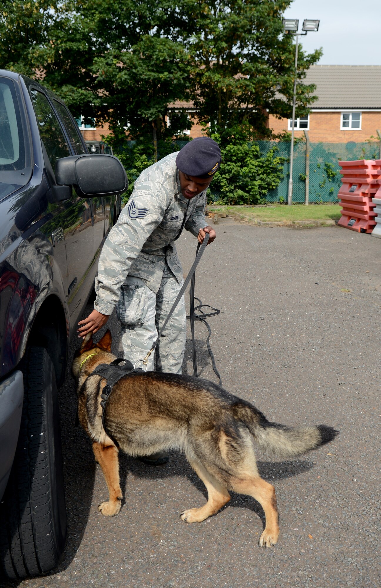 U.S. Air Force Staff Sgt. Matthew Clark, 100th Security Forces Squadron military working dog handler from Dodge City, Kan., trains with MWD Gina Aug. 1, 2014, on RAF Mildenhall, England. The primary mission for MWDs and handlers is to detect, delay and deter the enemy. (U.S. Air Force photo/Airman 1st Class Kyla Gifford/Released)