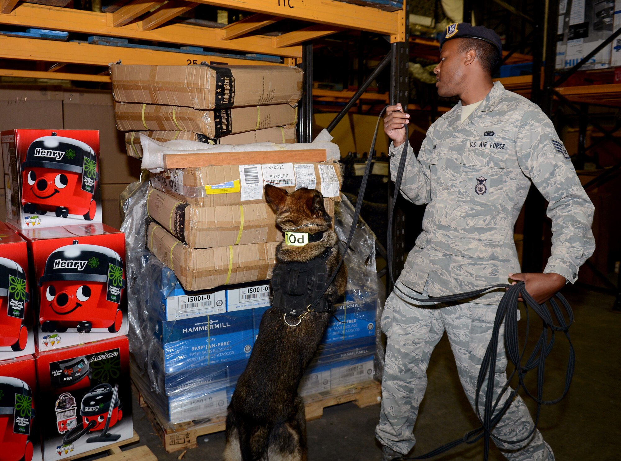 U.S. Air Force Staff Sgt. Matthew Clark, 100th Security Forces Squadron military working dog handler from Dodge City, Kan., trains with MWD Gina Aug. 1, 2014, on RAF Mildenhall, England. Gina trains on scent detection and her ability to follow Clark’s commands. (U.S. Air Force photo/Airman 1st Class Kyla Gifford/Released)