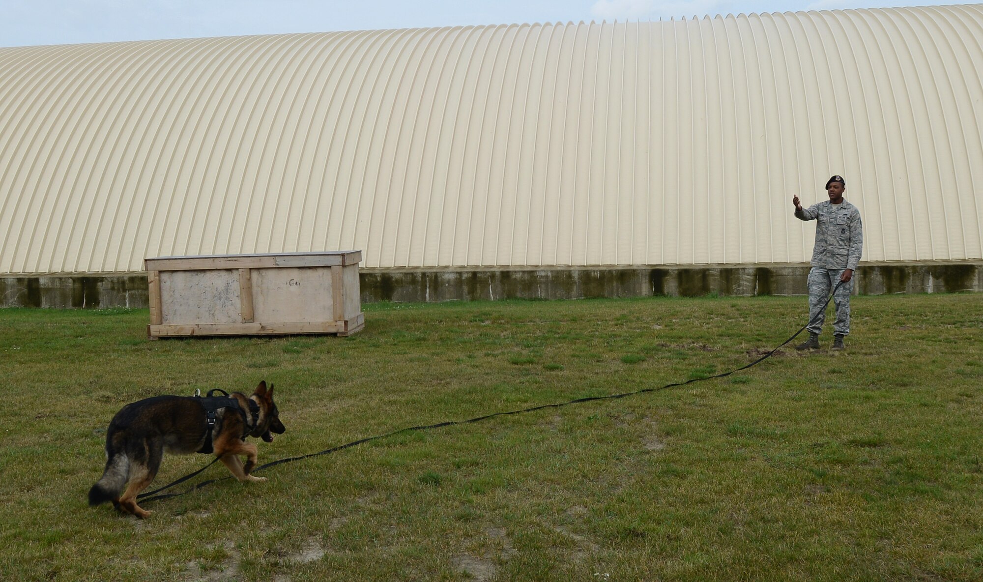 U.S. Air Force Staff Sgt. Matthew Clark, 100th Security Forces Squadron military working dog handler from Dodge City, Kan., trains with MWD Gina Aug. 1, 2014, on RAF Mildenhall, England. The 7-year-old detection dog and her handler focus on commands and scent detection in order to become a certified MWD team. (U.S. Air Force photo/Airman 1st Class Kyla Gifford/Released)