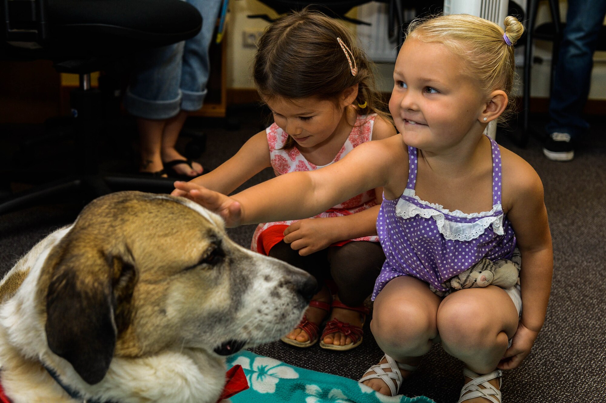 Lucia Padillabarg (left) and Natalie Tucker (right), stroke Rocky, a Red Cross Morale Dog, in the library at Spangdahlem Air Base, Germany, July 31, 2014. Rocky helps the Red Cross by meeting with people returning from deployments or with patients at hospitals. The Red Cross Dogs aim to reduce stress and increase morale. (U.S. Air Force photo by Airman 1st Class Kyle Gese/Released)