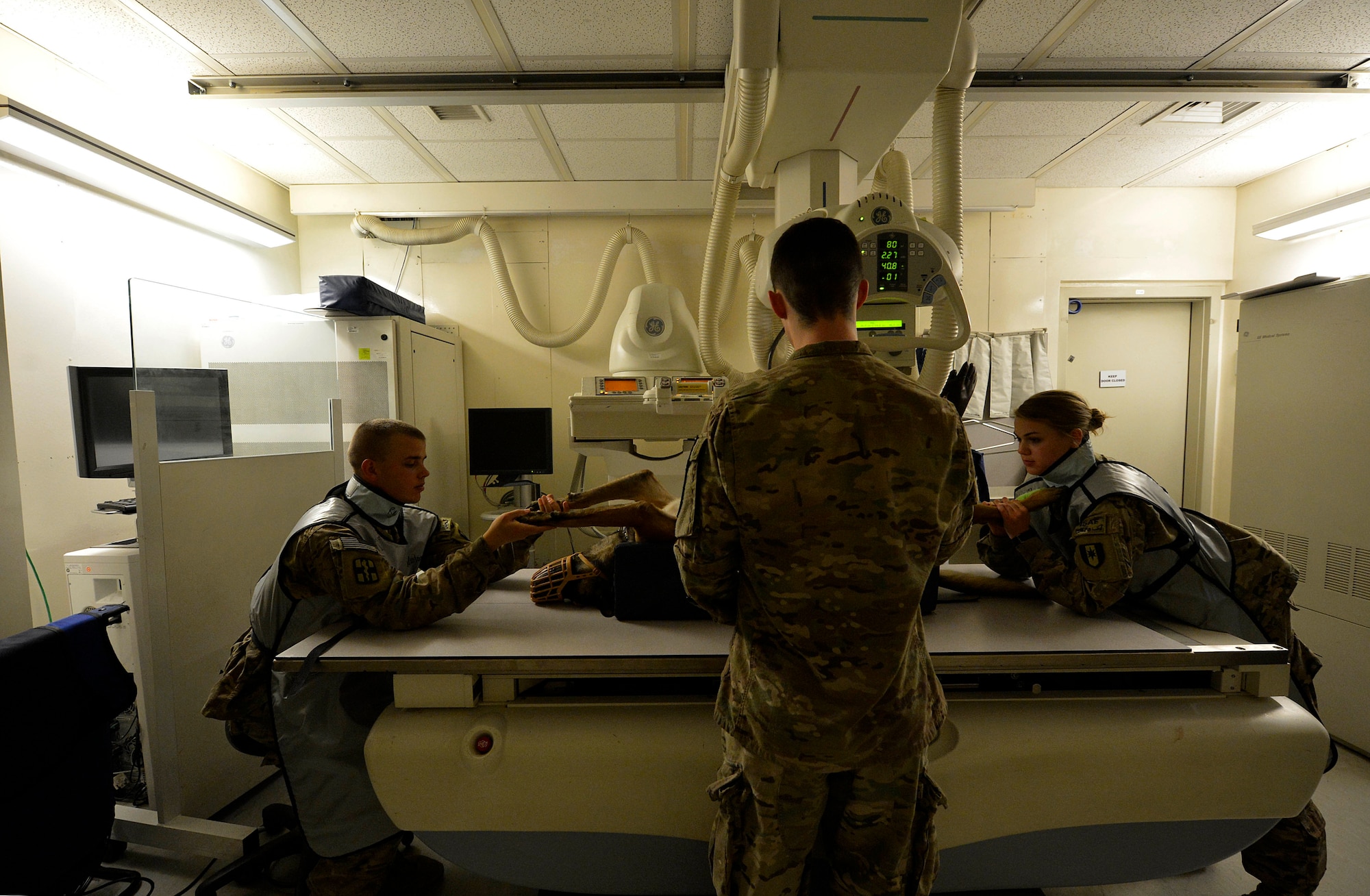 Kimbo, a military working dog is prepared for an x-ray at Bagram Airfield, Afghanistan’s Craig Joint Theater Hospital July 24, 2014. Radiologists at the Craig Joint Theater Hospital are responsible for providing a variety of imaging expertise such as x-rays, ultrasound, fluoroscopy for patients.  The unit not only provides imagery for service members but also all military working dogs here.  (U.S. Air Force photo by Staff Sgt. Evelyn Chavez/Released)