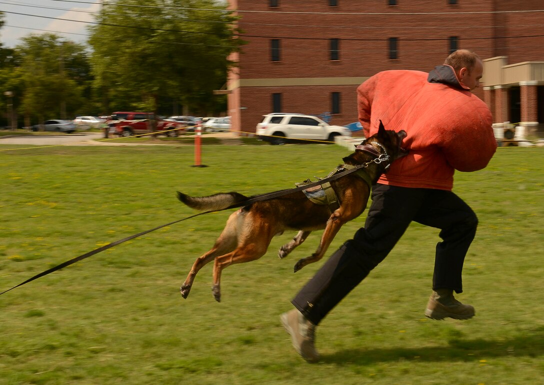 U.S. Air Force military working dog, Jony, bites Senior Airman Robert Coughlin, 20th Security Forces Squadron military working dog handler, while acting to resist arrest during a K-9 demonstration at the Kids Jamboree at Shaw Air Force Base, S.C., July 30, 2014. The event consisted of several demonstrations, booths and activities to include; a petting zoo and a children’s carnival. (U.S. Air Force photo by Senior Airman Tabatha Zarrella/Released) 