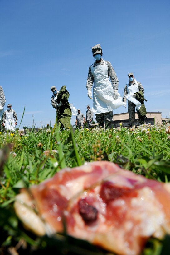 Members of the 108th Wing Force Support Squadron participate in a simulated search and recovery exercise at Joint Base-McGuire-Dix-Lakehurst, June 24, 2014. Slabs of pork chops, chunks of chicken meat, and mannequin pieces were scattered across the field for the members to recover. (U.S. Air National Guard photo by Senior Airman Kellyann Novak/Released)