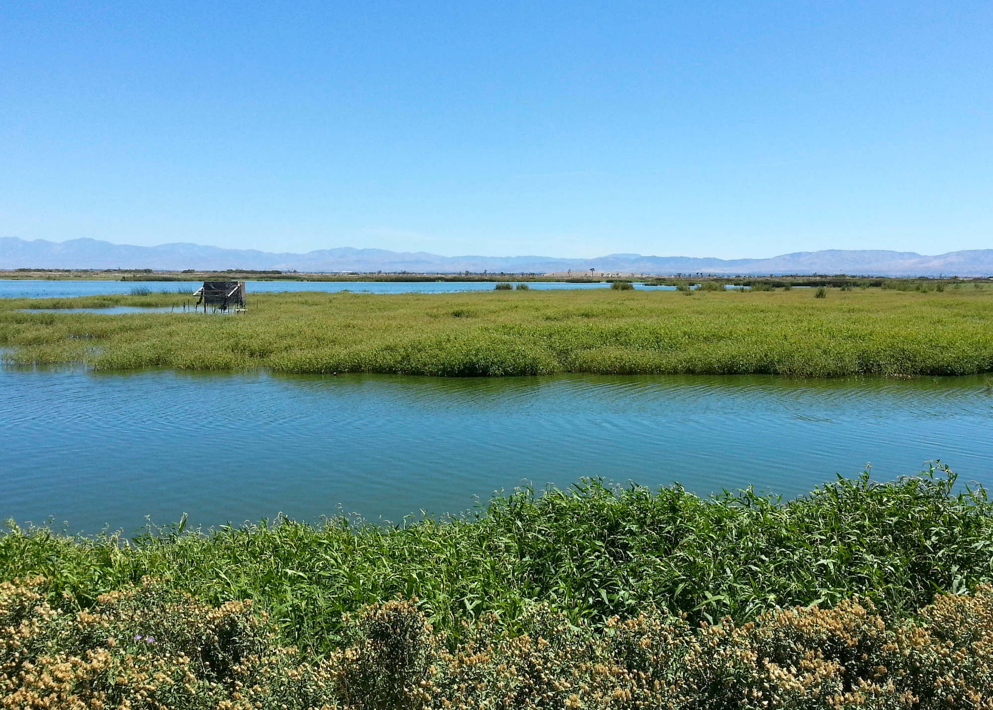 Piute Ponds on Edwards Air Force Base. (Courtesy photo) 