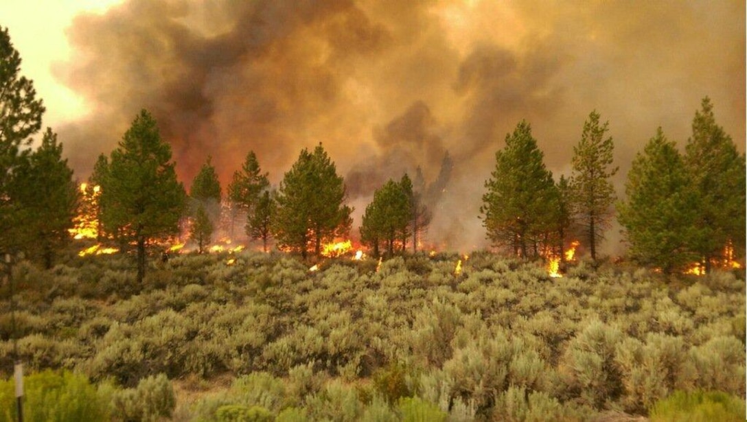 Fires burns in the Klamath National Forest, Aug. 5. A crew of four personnel with the Miramar Fire Department joined crews with the Cleveland National Forest, San Bernardino National Forest, and Inyo National Forest Fire Departments to help extinguish the Klamath National Forest wildfires. Mutual aid agreements provide agencies with a reciprocal support arrangement, allowing for a cost-effective agreement to provide aid to an organization in a time of need. The Miramar Fire Department honors these agreements several times a year. (Courtesy photo provided by the Miramar Fire Department)