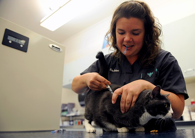 Dr. Erin Hiskett, Public Health Command District-Fort Carson veterinarian, administers a shot to Riesling, August 5, 2014, at McConnell Air Force Base. Riesling is a rescue cat that was six pounds when she was rescued and has been nourished back to proper health. (U.S. Air Force photo/Airman 1st Class David Bernal Del Agua)