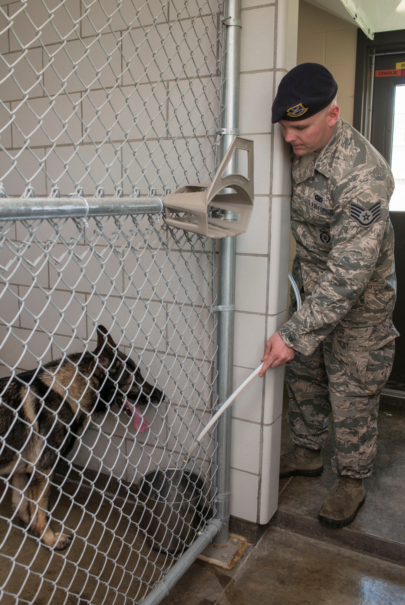 Staff Sgt. Tim Glover, 5th Security Forces Squadron military working dog handler, fills the water dish of his MWD Roko on Minot Air Force Base, N.D., July 28, 2014. Handlers are responsible for feeding their dogs as well as cleaning their kennel, taking them for walks and completing training to stay current on their mission requirements. (U.S. Air Force photo/Senior Airman Stephanie Morris)