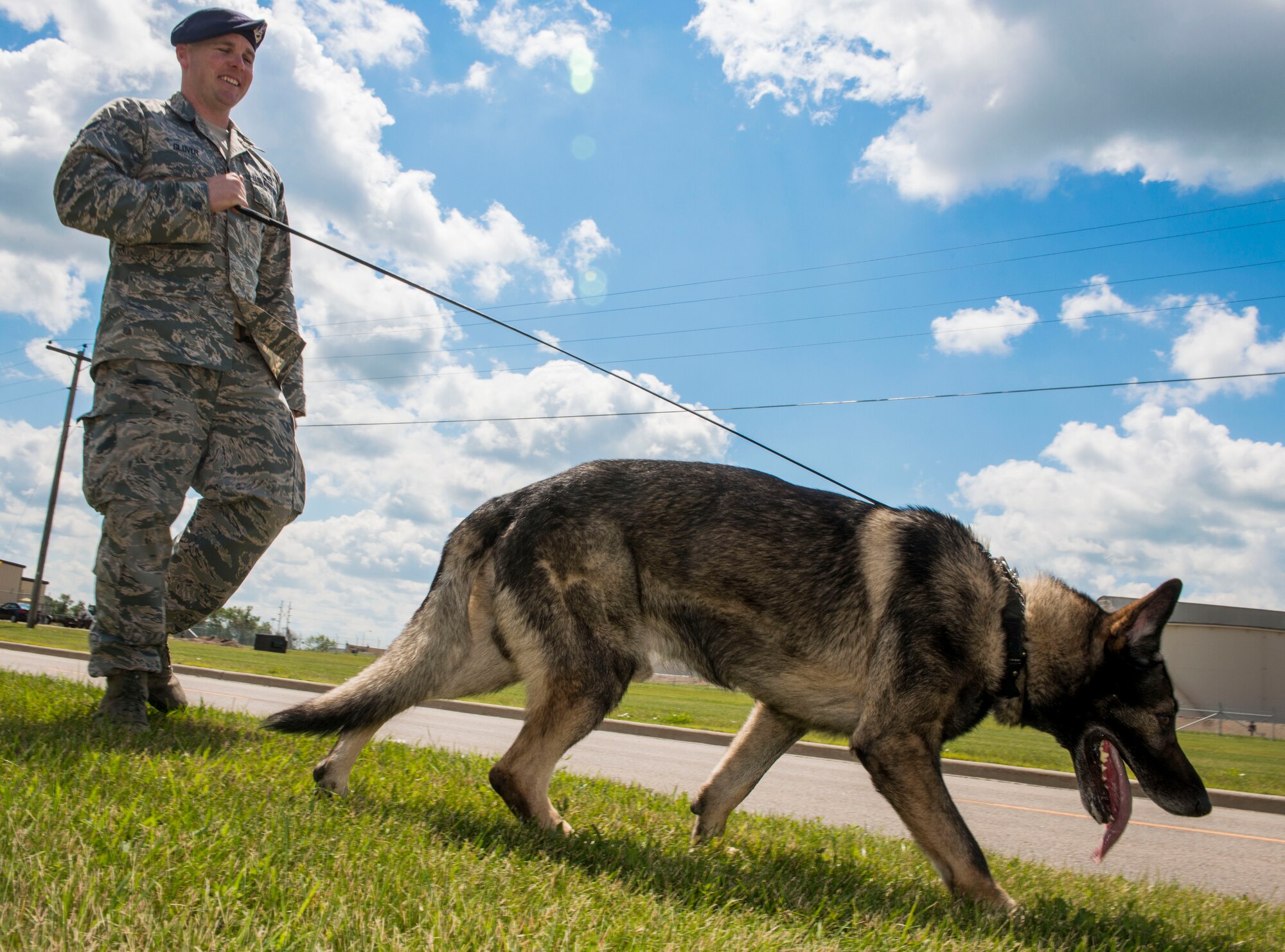 Staff Sgt. Tim Glover, 5th Security Forces Squadron military working dog handler, goes for a walk with his MWD Roko on Minot Air Force Base, N.D., July 28, 2014. Glover decided to become a handler after he observed handlers and their dogs working at his last base. (U.S. Air Force photo/Senior Airman Stephanie Morris)