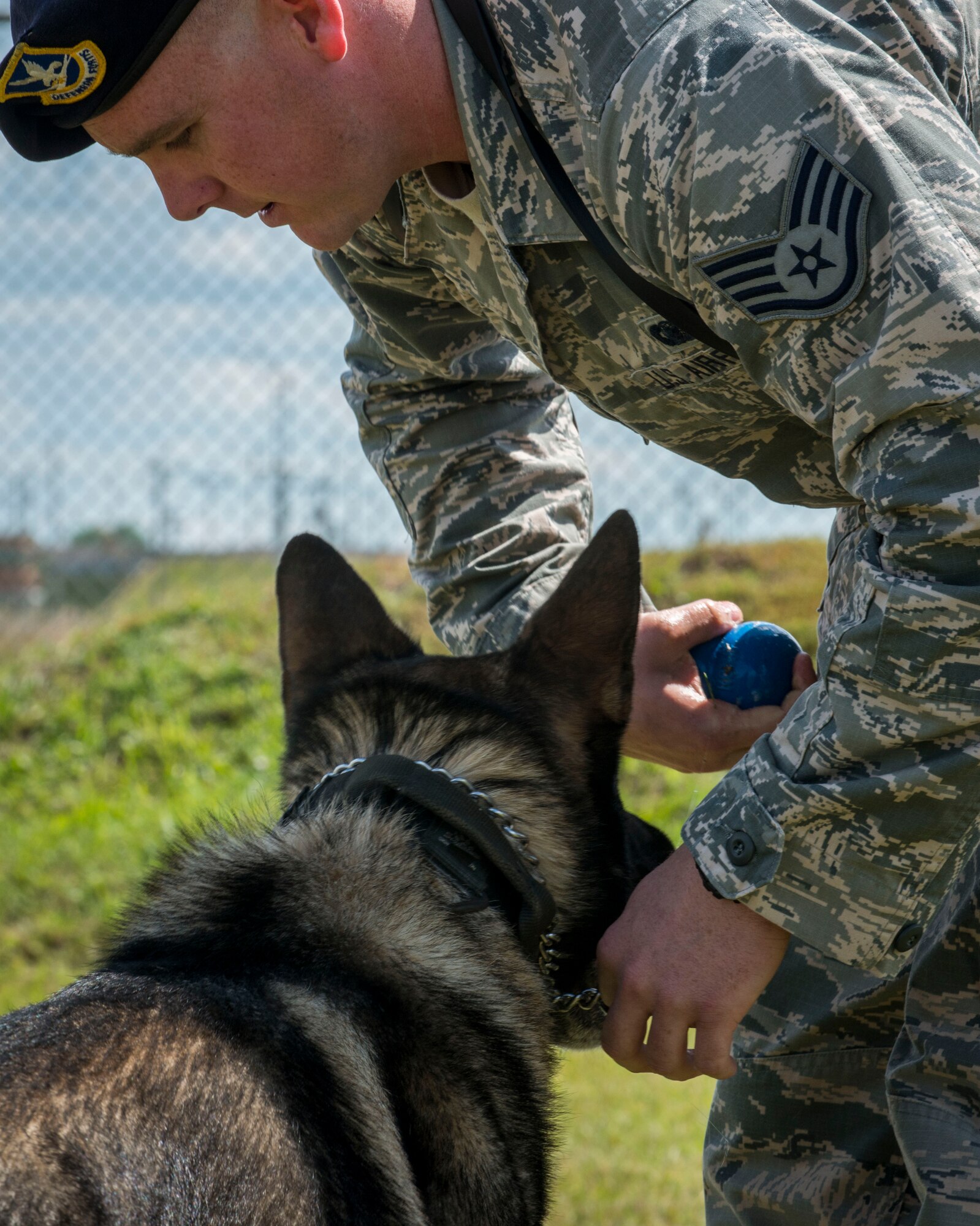 Staff Sgt. Tim Glover, 5th Security Forces Squadron military working dog handler, retrieves a toy from his MWD Roko during a game of fetch at the kennels on Minot Air Force Base, N.D., July 28, 2014. Glover recently completed the MWD handler’s course at Lackland AFB, Texas, and his primary focus upon arrival at Minot has been building a strong rapport with his dog. (U.S. Air Force photo/Senior Airman Stephanie Morris)