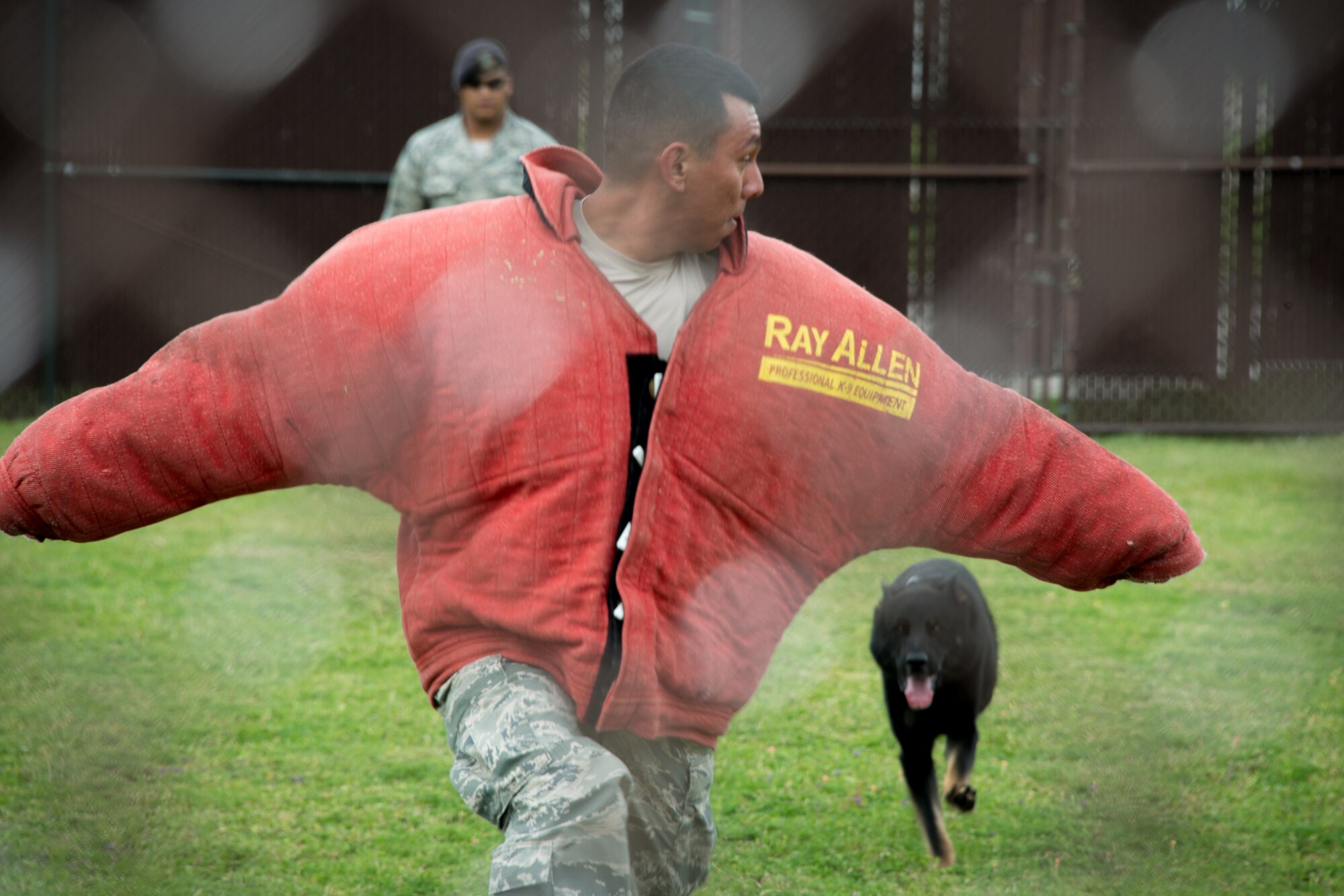 Senior Airman Jonathan Gallardo-Reyes, 81st Security Forces Squadron, runs from military working dog, Aries, as he portrays a “bad guy” during a demonstration for children of Keesler personnel Aug. 1, 2014, at the K-9 facility, Keesler Air Force Base, Miss. Children from the child development center and the youth center participated in the tour.  (U.S. Air Force photo by Marie Floyd)