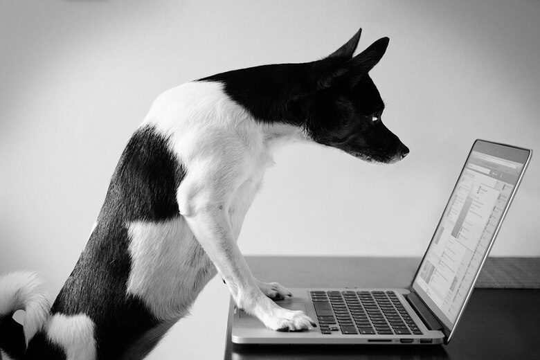 GOODFELLOW AIR FORCE BASE, Texas – Social media opens doors for meeting new people. However, are the people you meet who they say they are? The internet allows predators to use deception to take advantage of their victims. (U.S. Air Force photo illustration/ Airman 1st Class Devin Boyer)