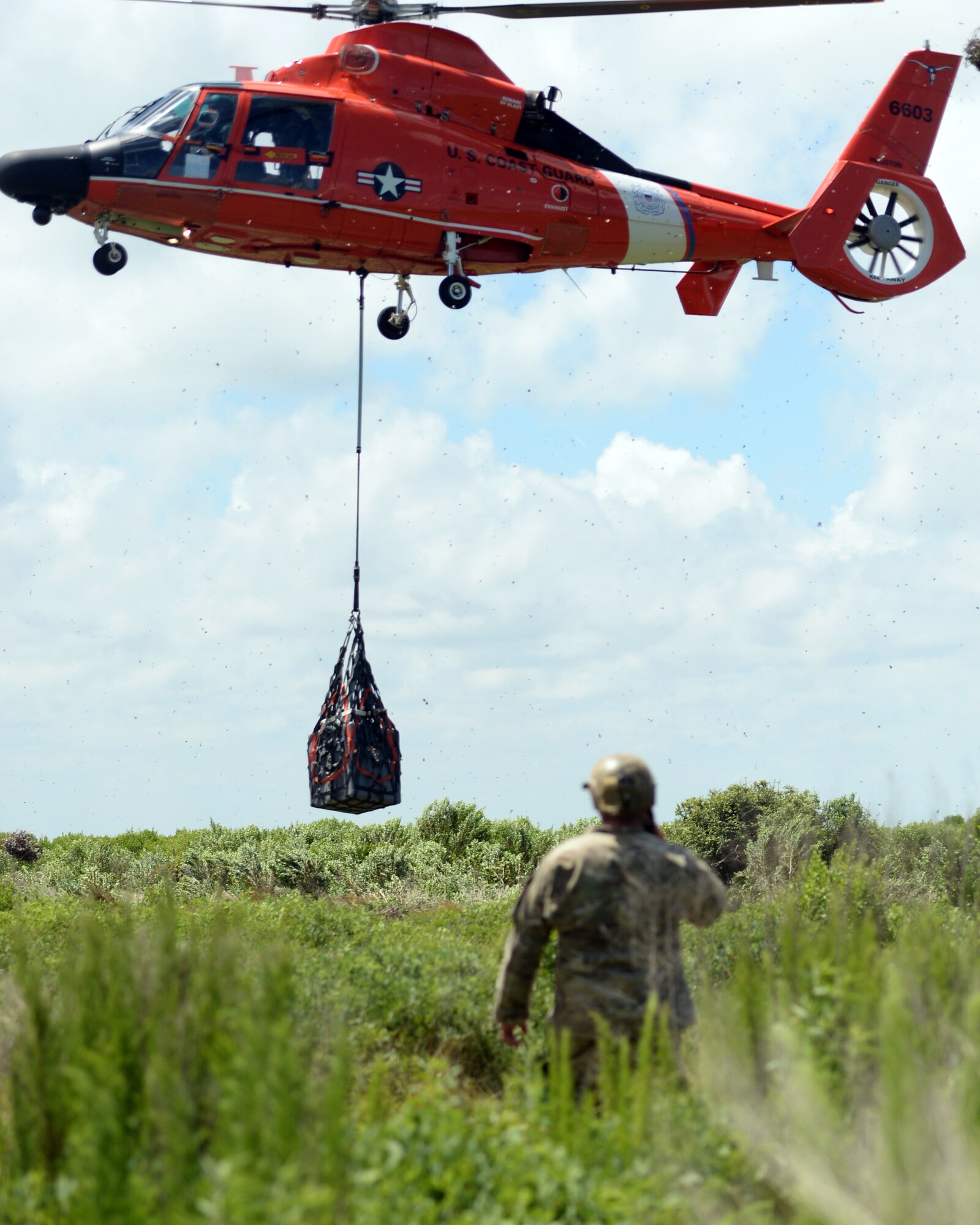 A Tactical Air Control Party member with the 147th Air Support Operations Squadron; 147th Reconnaissance Wing, performs control of a U.S. Coast Guard MH-65 Dauphin during a domestic response resupply exercise June 7, 2014, at Galveston State Park. With the 2014 hurricane season underway, the training allowed the TACPs to exercise response efforts with the Coast Guard members, performing helicopter landing zone operations, aerial resupply and sling load operations.