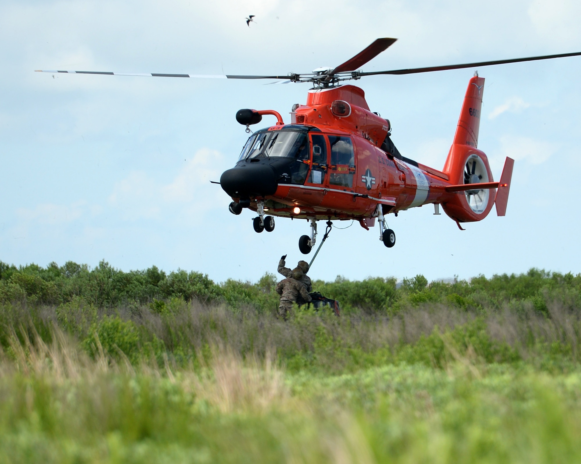 Tactical Air Control Party members with the 147th Air Support Operations Squadron; 147th Reconnaissance Wing, perform sling load operations with a U.S. Coast Guard MH-65 Dauphin during a domestic response resupply exercise June 7, 2014, at Galveston State Park. With the 2014 hurricane season underway, the training allowed the TACPs to exercise response efforts with the Coast Guard members, performing helicopter landing zone operations, aerial resupply and sling load operations.