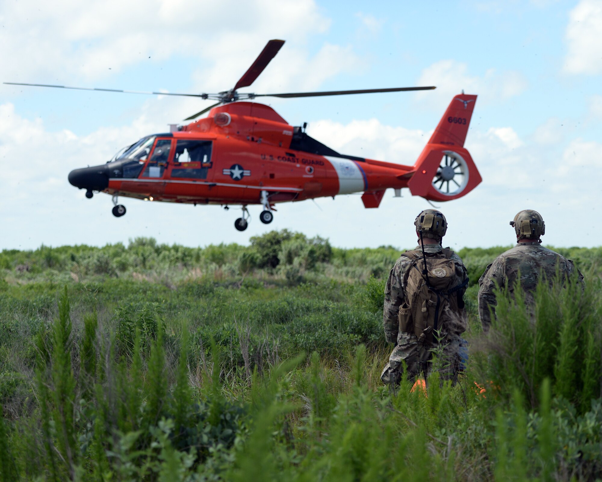 Tactical Air Control Party members with the 147th Air Support Operations Squadron; 147th Reconnaissance Wing, observe a U.S. Coast Guard MH-65 Dauphin land in a landing zone they established during a domestic response resupply exercise June 7, 2014, at Galveston State Park. With the 2014 hurricane season underway, the training allowed the TACPs to exercise response efforts with the Coast Guard members, performing helicopter landing zone operations, aerial resupply and sling load operations.