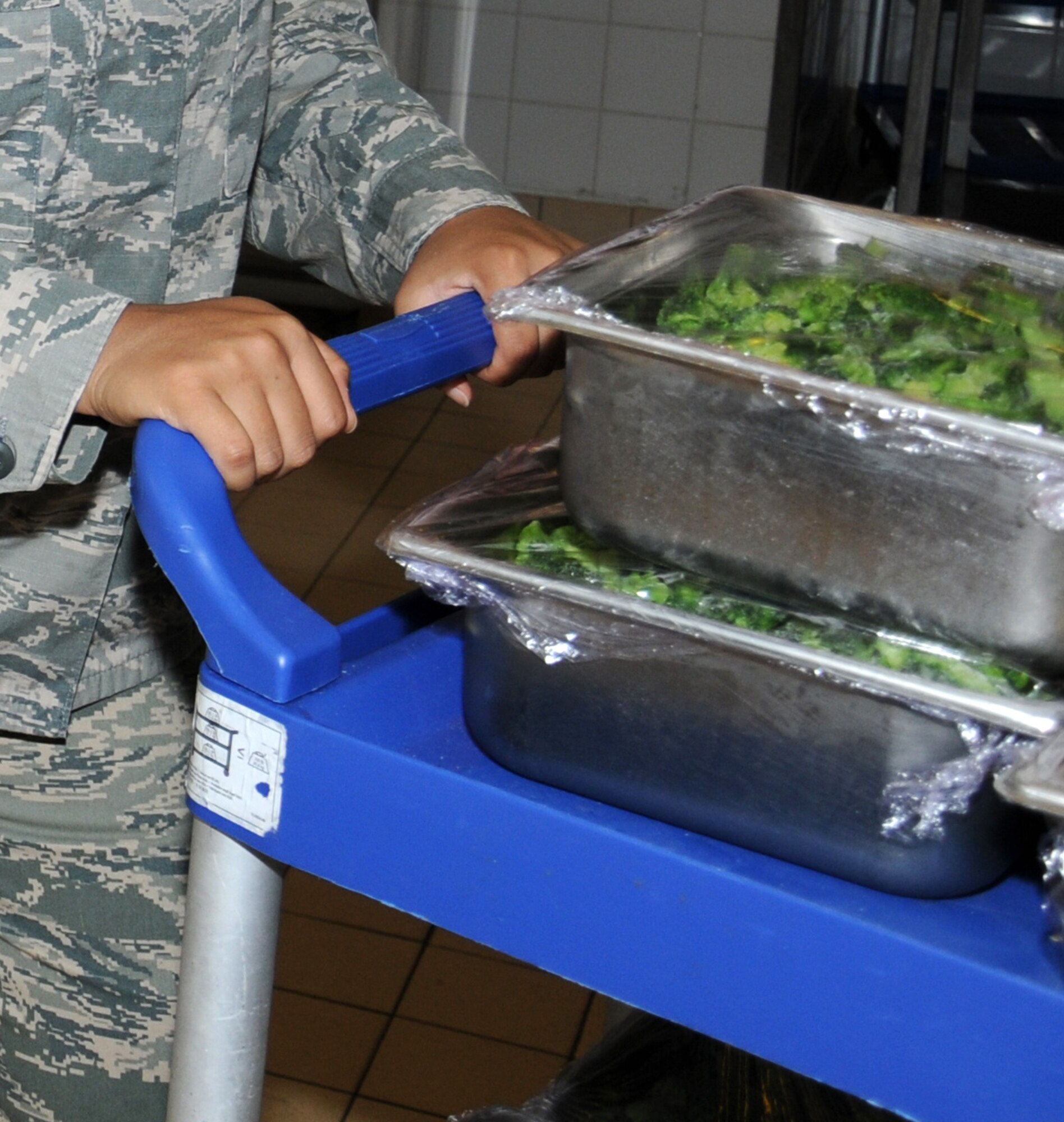 U.S. Air Force Staff Sgt. Paige Thiessen, 100th Force Support Squadron food service supervisor from Paris, Mo., uses a trolley to move food safely to the refrigerator July 31, 2014, at the Gateway Dining Facility on RAF Mildenhall, England. Some of the dishes offered to customers include Jambalaya, Crispy Baked Chicken and various Ethnic and specialty meals. (U.S. Air Force photo/Gina Randall/Released)