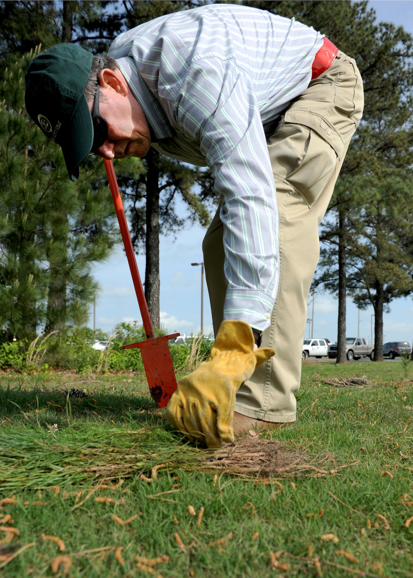 James Popham, the 19th Civil Engineer Squadron natural resources manager, plants a pine tree April 23, 2013, at Little Rock Air Force Base, Ark. Popham manages all the natural resources on base including soil, water, vegetation and wildlife. (U.S. Air Force photo by Airman 1st Class Scott Poe)