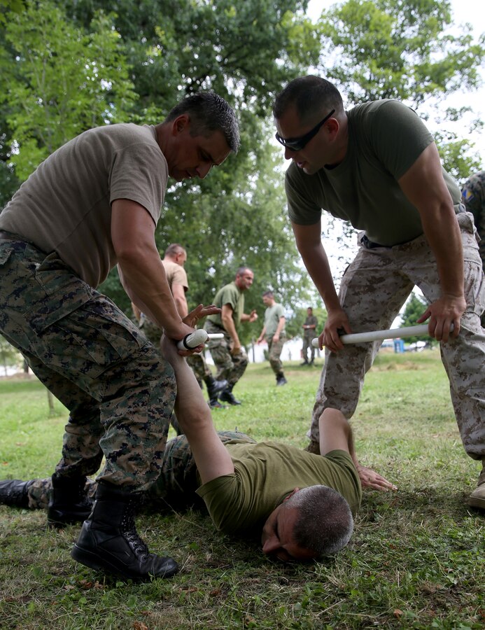 Bosnian Forces practice non-lethal baton techniques with U.S. Marines. Cooperation between U.S. Marines and Bosnian Armed Forces is the continued commitment of the United States to its NATO partners through Operation Atlantic Resolve.