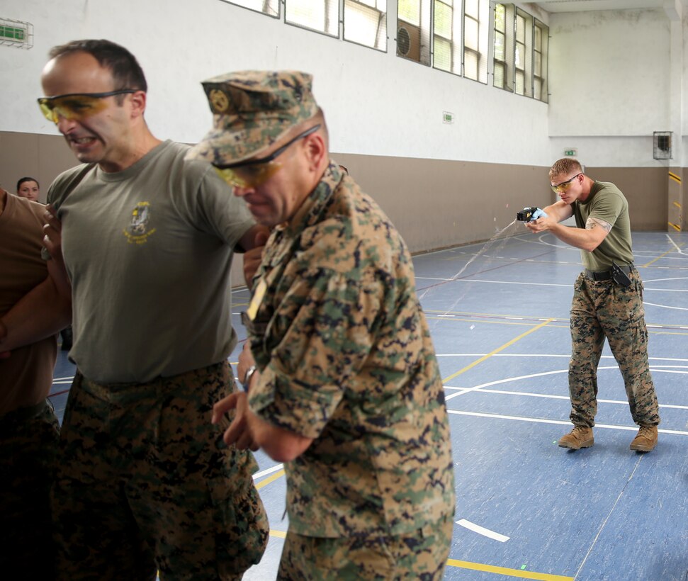 A soldier from the Armed Forces of Bosnia and Herzegovina is struck with the X26 Taser as part of a familiarization exercise with non lethal systems in Sarajevo, Bosnia and Herzegovina, July 23. The X26 Taser omits a charge five second charge of 50,000 volts when fired.