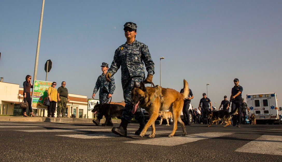 Naval K-9 handlers parade through the Marinai government housing aboard Naval Air Station Sigonella, Italy, during the National Night Out event Aug. 5, 2014. Marines and Sailors with the second iteration of SP-MAGTF Africa 14 participated in the event with a static display of weapons, an Explosive Ordnance Disposal robot, and two vehicles organic to the Marine Corps. SP-MAGTF Africa continues to build relationships with the community while simultaneously strengthening U.S. Africa Command and U.S. Marine Corps Forces Africa’s ability to assist partner nations in addressing security challenges in the region. (U.S. Marine Corps photo by Cpl. Shawn Valosin)